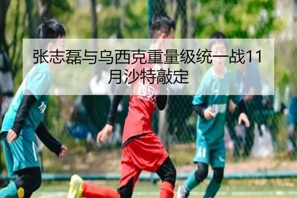 张志磊与乌西克重量级统一战11月沙特敲定